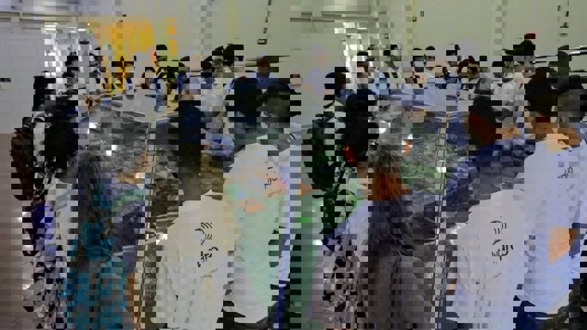 Indução estágio (4)