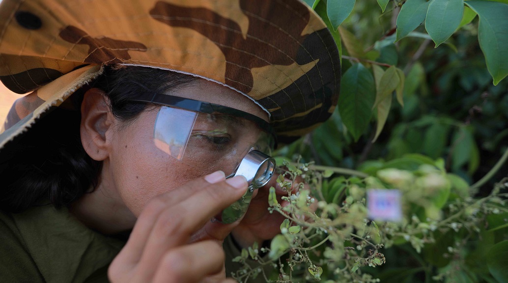 Pesquisadora do Consórcio BRC mantido pela Hydro.